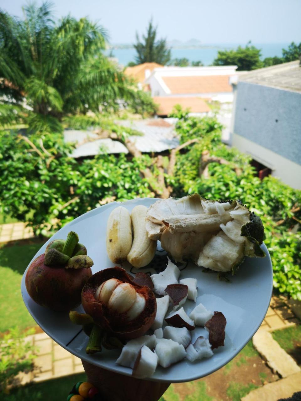 Monteiro Paradise Guest House 상투메 외부 사진